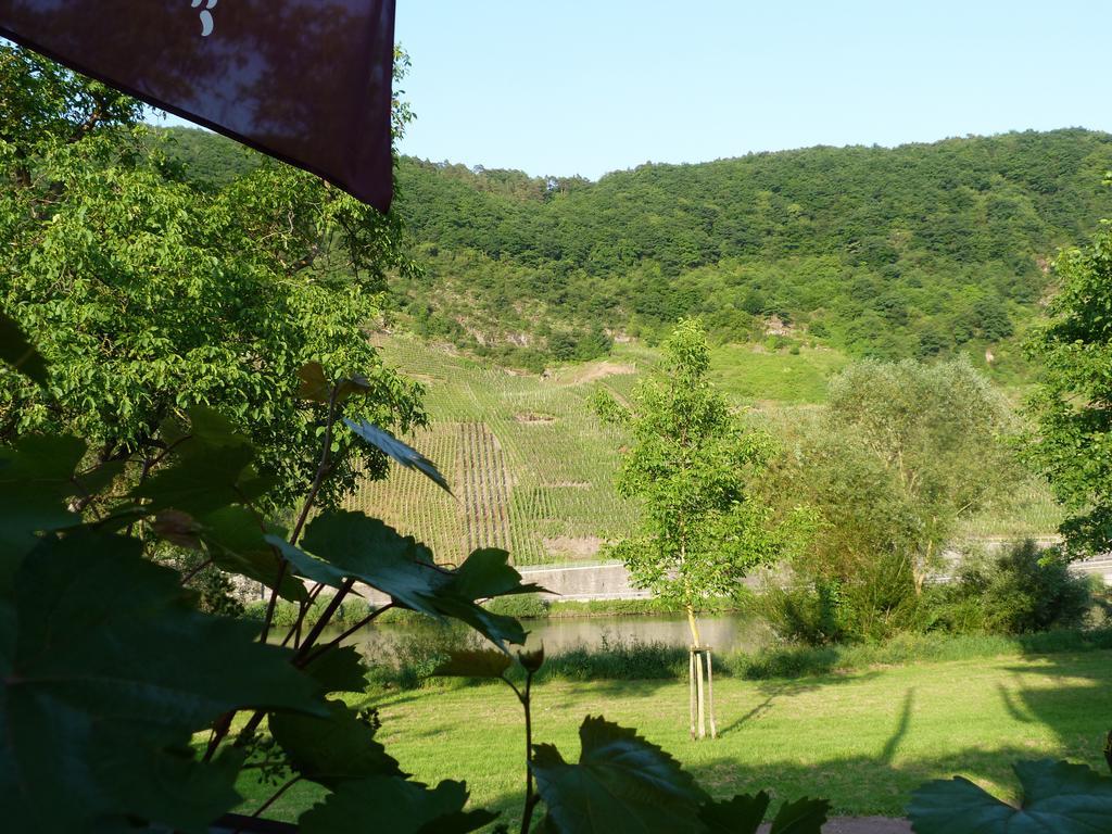 Moselperle Hotel Garni Traben-Trarbach Exterior foto